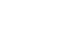 White PVS Logo